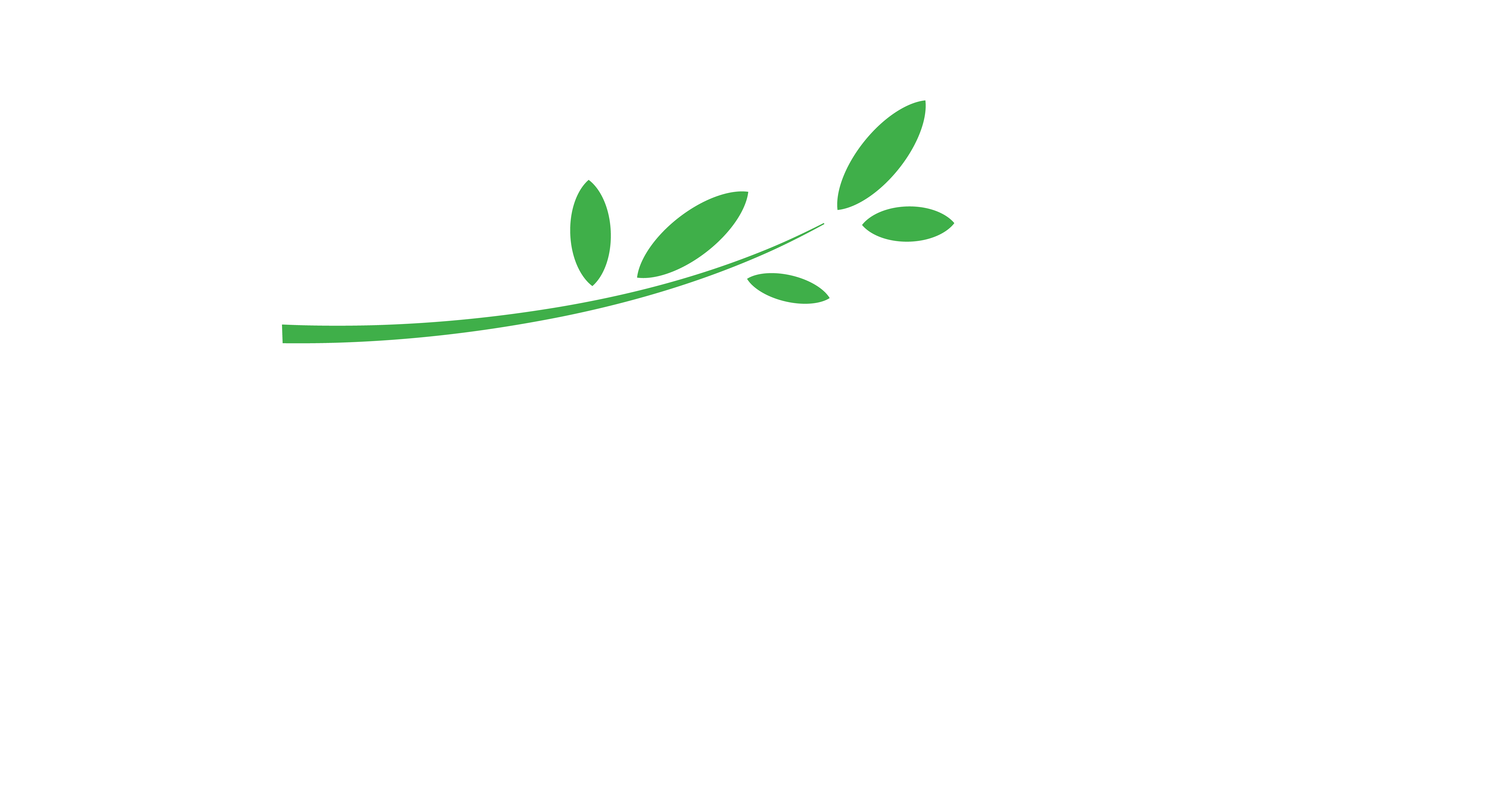 The Nature City